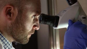 Dr. Boychuk looking through a microscope.