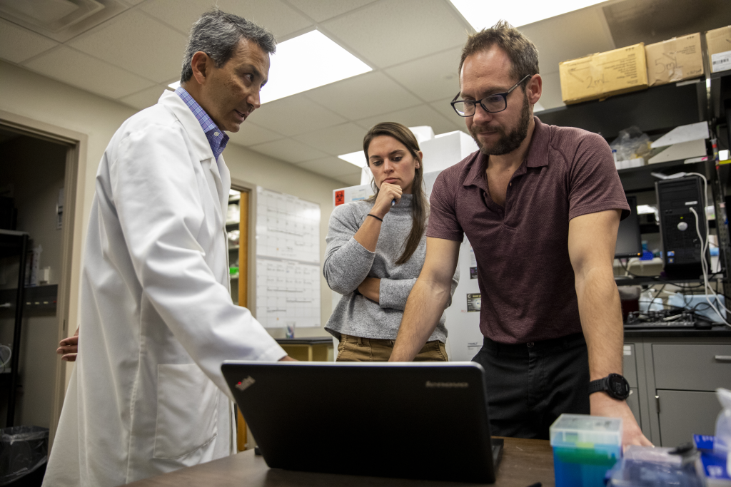 Researchers discussing science on computer screen.